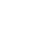 Cyber Agility Icon