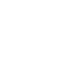 Cyber Resilience Icon